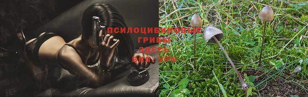 скорость Лиски