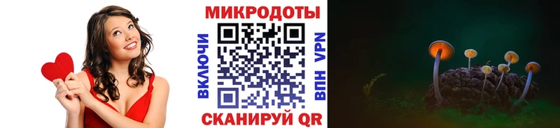 Галлюциногенные грибы GOLDEN TEACHER  цены наркотик  Новокузнецк 