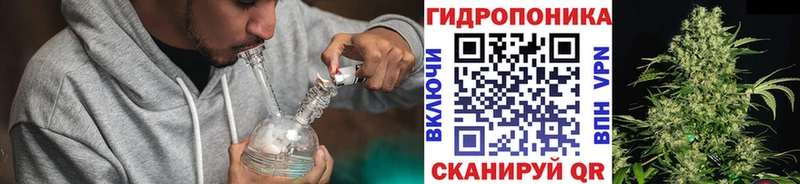 Бошки марихуана конопля  закладки  Новокузнецк 